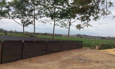 Vendo finca agrícola en Balzar 916.4 hectáreas dotada de sistema de riego de primer orden