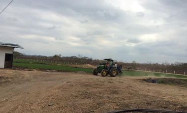 Vendo finca agrícola en Balzar 916.4 hectáreas dotada de sistema de riego de primer orden