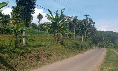 Tanah Bandung Cicalengka 50jtaan dapat 97meter