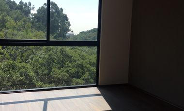 RENTA DEPARTAMENTO DESIERTO DE LOS LEONES