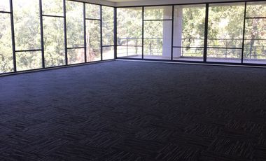 RENTA DEPARTAMENTO DESIERTO DE LOS LEONES