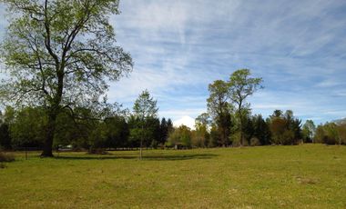 Hermoso Proyecto Altos De Molco