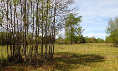 Hermoso Proyecto Altos De Molco