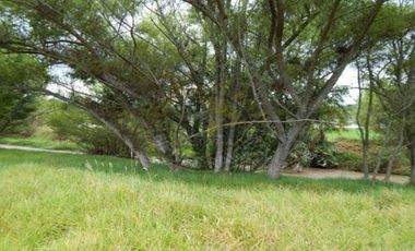 Terreno de venta en Sector Zhullin – código:12377