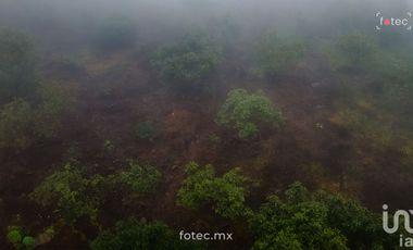 Venta de Terreno Huerto de Aguacate, Chichayotla, Calnali, Hidalgo