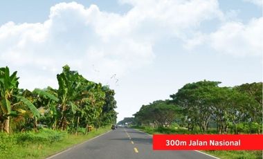 Kavling 15 Menit Barat Bandara YIA Kulonprogo