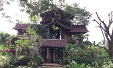 - NOT AVAILABLE FOR RENT -   TREE HOUSE FOR RENT IN DAUIN