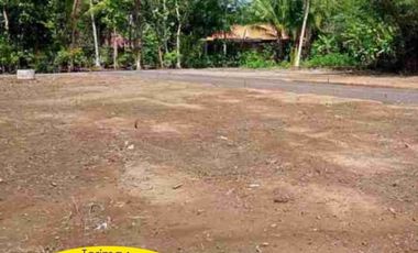 Nabung Tanah Cicil 12x Non Bunga, Dekat UIN Pekalongan