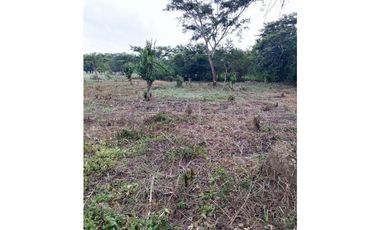 Venta lote en Besito Volao, Montería