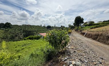 LOTE EN VENTA EN LA BETULIA/PEREIRA