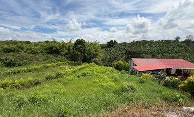 LOTE EN VENTA EN LA BETULIA/PEREIRA