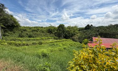 LOTE EN VENTA EN LA BETULIA/PEREIRA