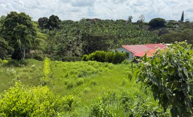 LOTE EN VENTA EN LA BETULIA/PEREIRA