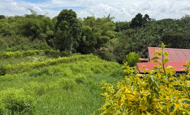 LOTE EN VENTA EN LA BETULIA/PEREIRA