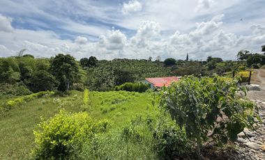 LOTE EN VENTA EN LA BETULIA/PEREIRA