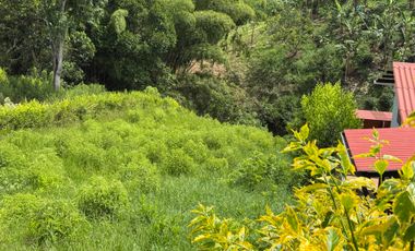 LOTE EN VENTA EN LA BETULIA/PEREIRA