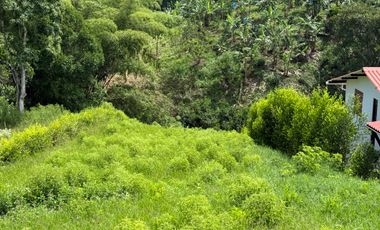 LOTE EN VENTA EN LA BETULIA/PEREIRA