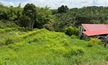 LOTE EN VENTA EN LA BETULIA/PEREIRA