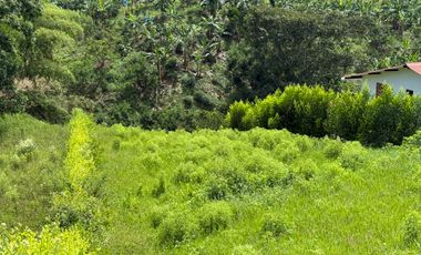 LOTE EN VENTA EN LA BETULIA/PEREIRA