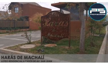 Haras de Machali - Hermosa propiedad en Arriendo