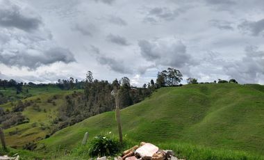 VENDO FINCA GANADERA EN DON MATÍAS ANTIOQUIA.