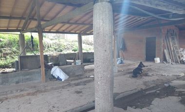 VENDO FINCA GANADERA EN DON MATÍAS ANTIOQUIA.