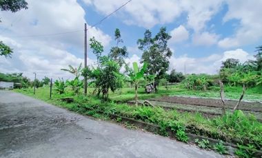 Rumah di Area Uii, Sangat Terjangkau