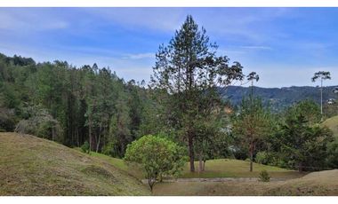 Venta de Lote En Unidad Cerrada Juanito Laguna El Retiro