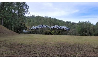 Venta de Lote En Unidad Cerrada Juanito Laguna El Retiro