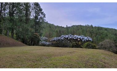 Venta de Lote En Unidad Cerrada Juanito Laguna El Retiro