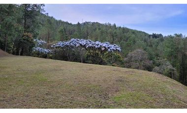 Venta de Lote En Unidad Cerrada Juanito Laguna El Retiro