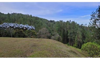 Venta de Lote En Unidad Cerrada Juanito Laguna El Retiro