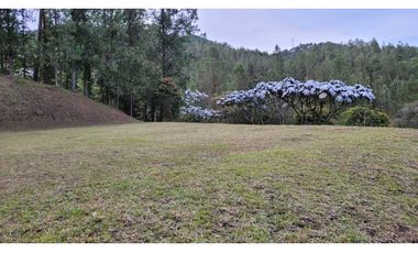 Venta de Lote En Unidad Cerrada Juanito Laguna El Retiro