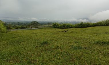 lote en venta en palmira. Cod V17473