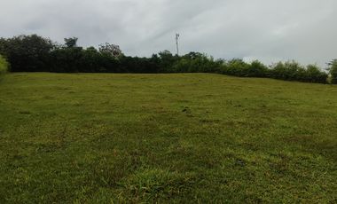 lote en venta en palmira. Cod V17473