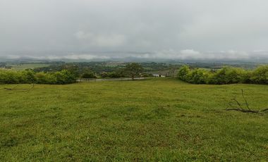 lote en venta en palmira. Cod V17473