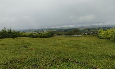 lote en venta en palmira. Cod V17473