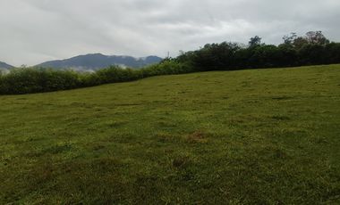 lote en venta en palmira. Cod V17473