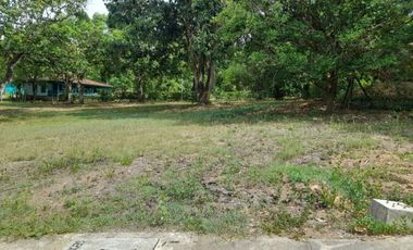 lote en venta en sin barrio. Cod V9068054