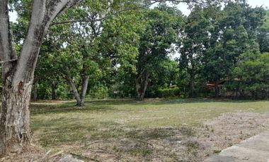 lote en venta en sin barrio. Cod V9068054