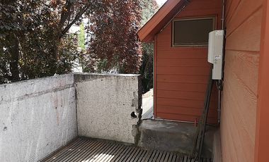 EDUARDO CASTILLO VELASCO / LOS TRES ANTONIO