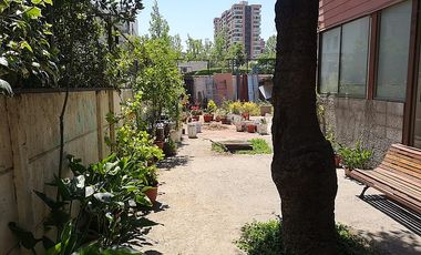 EDUARDO CASTILLO VELASCO / LOS TRES ANTONIO