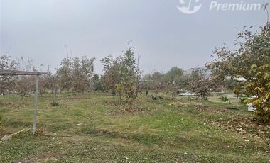 Parcela en Venta en Mallarauco-Melipilla