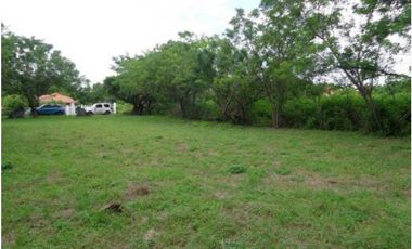 VENDO TERRENO EN CHAME, NUEVA GORGONA A 200 MTS DEL MAR (2)