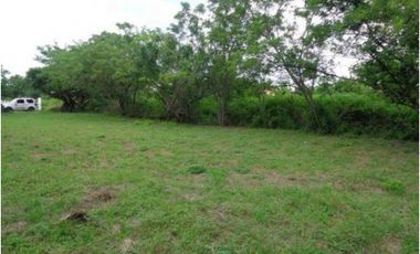 VENDO TERRENO EN CHAME, NUEVA GORGONA A 200 MTS DEL MAR (2)