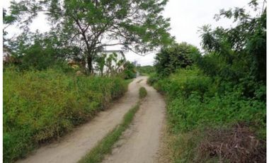VENDO TERRENO EN CHAME, NUEVA GORGONA A 200 MTS DEL MAR (2)