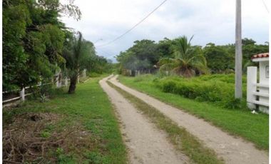 VENDO TERRENO EN CHAME, NUEVA GORGONA A 200 MTS DEL MAR (2)