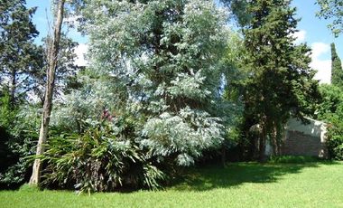 Quinta en Venta en Tigre, Buenos Aires