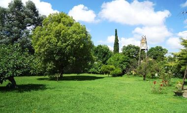 Quinta en Venta en Tigre, Buenos Aires