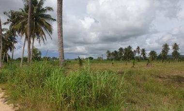 Land for sale with easy access to highway
